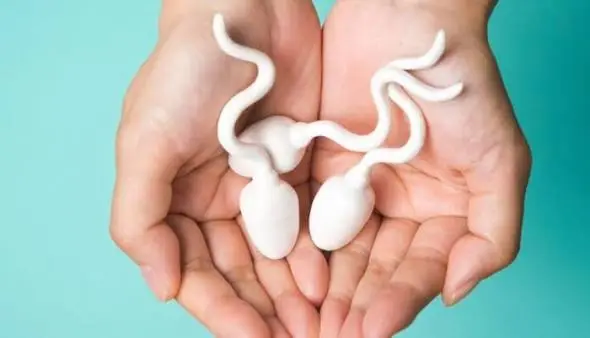 Male Fertility Myths